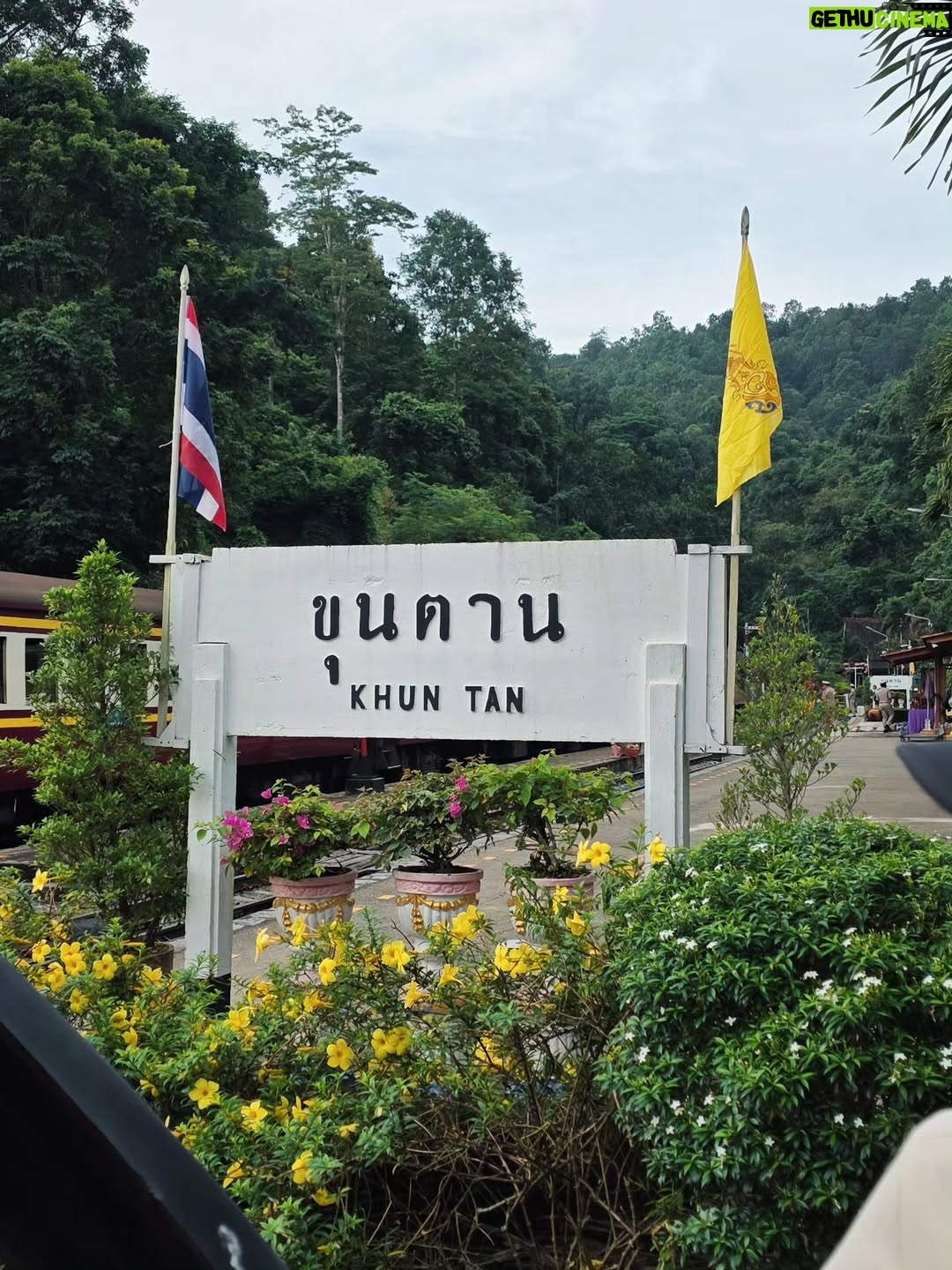 Sammy Cowell - 39.7K Likes - ชินยัง.. ก็อาจจะยังนะ ⛰️🚧