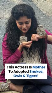 Actress Samyukta Hornad HD Photos and Wallpapers September 2025