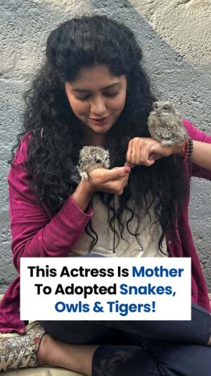 Samyukta Hornad Instagram - From the silver screen to the streets, Samyukta Hornad shines brightest when saving lives.🌟🐾

What began with a promise to her first pup, Gunda, became Praana Animal Foundation — rescuing 4,000  animals, building India’s first eco-friendly cat rehab, and running a 24/7 free ambulance. Now, she’s creating India’s first urban wildlife ambulance.🐅🦉

This isn’t charity.
It’s love in action.❤️✨

@samyuktahornad | @thepraanafoundation

#SamyuktaHornad #PraanaAnimalFoundation #AnimalRescueIndia #LoveInAction #WildlifeConservation #StrayAnimalRescue #EcoFriendlyRehab

[Samyukta Hornad, Praana Animal Foundation, Animal Rescue India, Wildlife Conservation, Stray Animal Rescue]