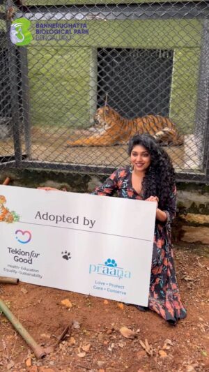 Samyukta Hornad Instagram - When Compassion Meets the Wild!!! 🐅💫

In a heartfelt gesture of love for wildlife, actor @samyuktahornad adopted a tiger named Sinchana at Bannerghatta Biological Park. 

With quiet dignity and piercing eyes, Sinchana represents the strength and vulnerability of India’s majestic wild cats, and  @samyuktahornad 's adoption with @tekion is a powerful act of support that goes beyond symbolism.

It’s a step toward ensuring a safer, more compassionate world for animals like her ❤️

Adopt. Support. Protect.🌿🍀

Link in Bio 🔗 to know more. 

DM us for any queries on  @bannerughattazoo Adoption Programme! 

[Bannerughatta Biological Park, Adoption Programme, Wildlife Education, Wildlife Conservation, Samyuktha Hornad, Prana foundation, Zoolife, International Tiger's Day ] 

#BannerughattaBiologicalPark #adoption #samykuthahornad #Wildlife #internationaltigersday #wildlifeeducation #wildlifeconservation