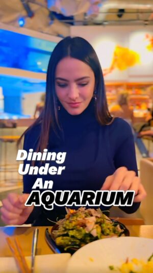 Sandra Vergara Instagram - Dining under an aquarium? Yes, we’re at @mrsfishla in Downtown LA.
This top rated sushi spot offers more than just a meal, it’s a full sensory experience. Surrounded by a glowing underwater world, we ordered their most popular dishes.
Watch the video to see what made this visit unforgettable, and add this hidden gem to your LA bucket list.
⭐️⭐️⭐️⭐️⭐️
📍448 S Hill St, Los Angeles, CA 90013
@sandravergara
#sushi #foodie #foodiela #toprated #bestsushi #losangeles #mrfish #explorer #thingstodoinla