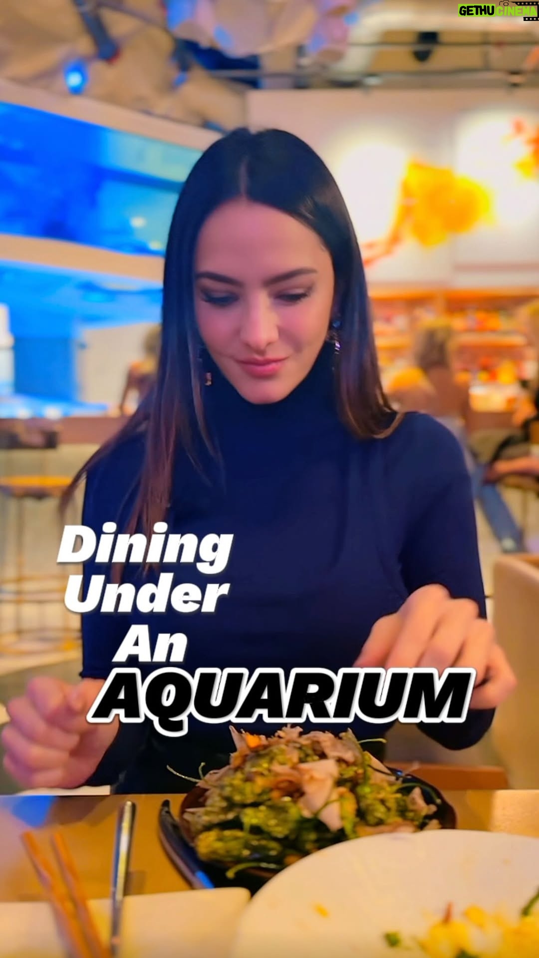 Sandra Vergara - 2.6K Likes - Dining under an aquarium? Yes, we’re at @mrsfishla in Downtown LA.
This top rated sushi spot offers more than just a meal, it’s a full sensory experience. Surrounded by a glowing underwater world, we ordered their most popular dishes.
Watch the video to see what made this visit unforgettable, and add this hidden gem to your LA bucket list.
⭐️⭐️⭐️⭐️⭐️
📍448 S Hill St, Los Angeles, CA 90013
@sandravergara 
#sushi #foodie #foodiela #toprated #bestsushi #losangeles #mrfish #explorer #thingstodoinla