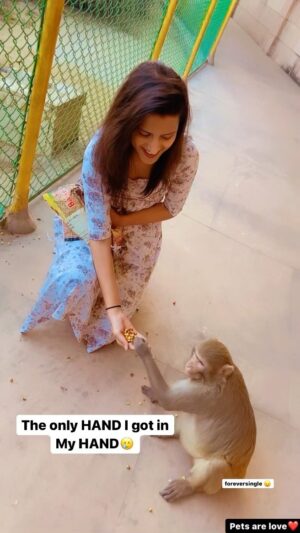 Sanjana Jagga Instagram - Tag singles🤣 @chetnabalharaofficial @iamjagritipahwa @___shagunn mujhe monkey ka hath to mila…Tumhe to ye b ni milna saalo🤣🤣🤣
#bestie #bestfriends #singles #singlelifeproblems #singlelifestyle #singlelifebelike #singlelife #relatable #reelitfeelit❤️❤️ #hindireels