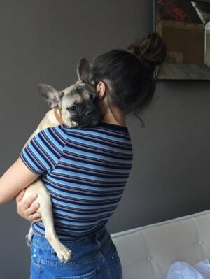Sarah Jeffery Instagram - To the love of my life, the one who saved me and raised me into adulthood; I will love you until my own heart stops beating, and after that too. 
Monty Jeffery: 12/25/15 - 10/08/25 🌈