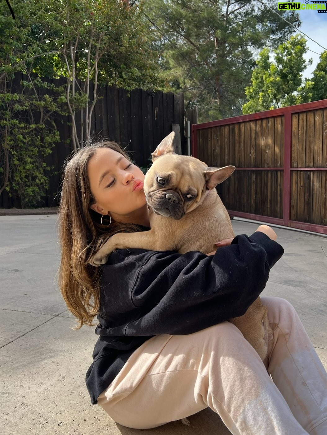 Sarah Jeffery - 16.6K Likes - To the love of my life, the one who saved me and raised me into adulthood; I will love you until my own heart stops beating, and after that too. 
Monty Jeffery: 12/25/15 - 10/08/25 🌈