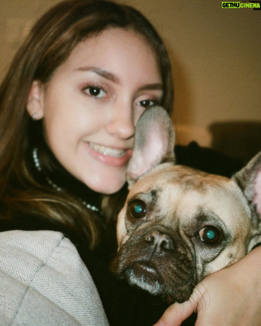 Sarah Jeffery - 16.6K Likes - To the love of my life, the one who saved me and raised me into adulthood; I will love you until my own heart stops beating, and after that too. 
Monty Jeffery: 12/25/15 - 10/08/25 🌈