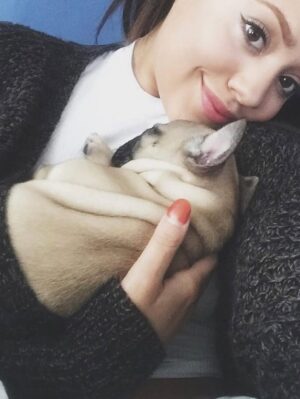 Sarah Jeffery Instagram - To the love of my life, the one who saved me and raised me into adulthood; I will love you until my own heart stops beating, and after that too. 
Monty Jeffery: 12/25/15 - 10/08/25 🌈