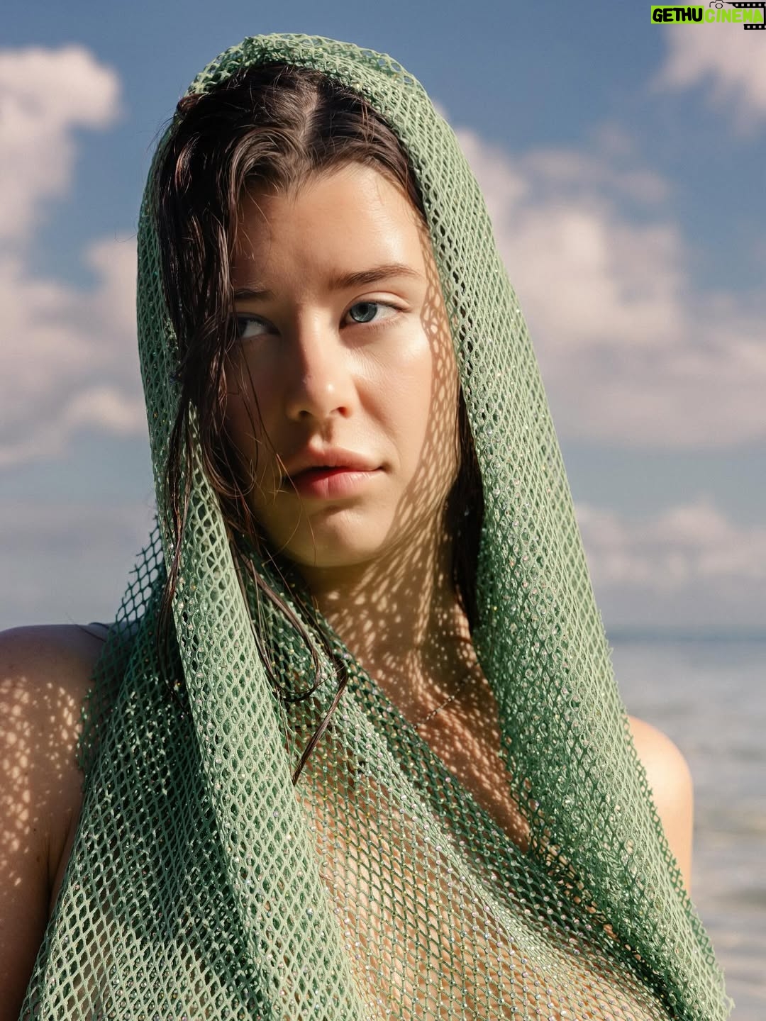 Sarah McDaniel - 33.4K Likes - 🐟🐠🌀🪣🪁🫐🖌️🗣️🩱