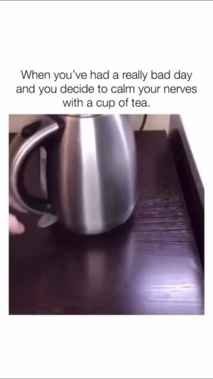 Sarah Wilson Instagram - All the granular truths ! 🤣