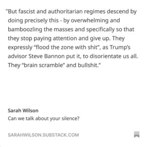Sarah Wilson Instagram - This is fascism creep. This is how fascism descends. I’ve written a @substack “Can we talk about your silence”, which I thought would ruffle feathers, but it’s received almost the opposite reaction. Gosh, what strange and so very human times we are in. Link in stories… courage to you all 👊🇵🇸