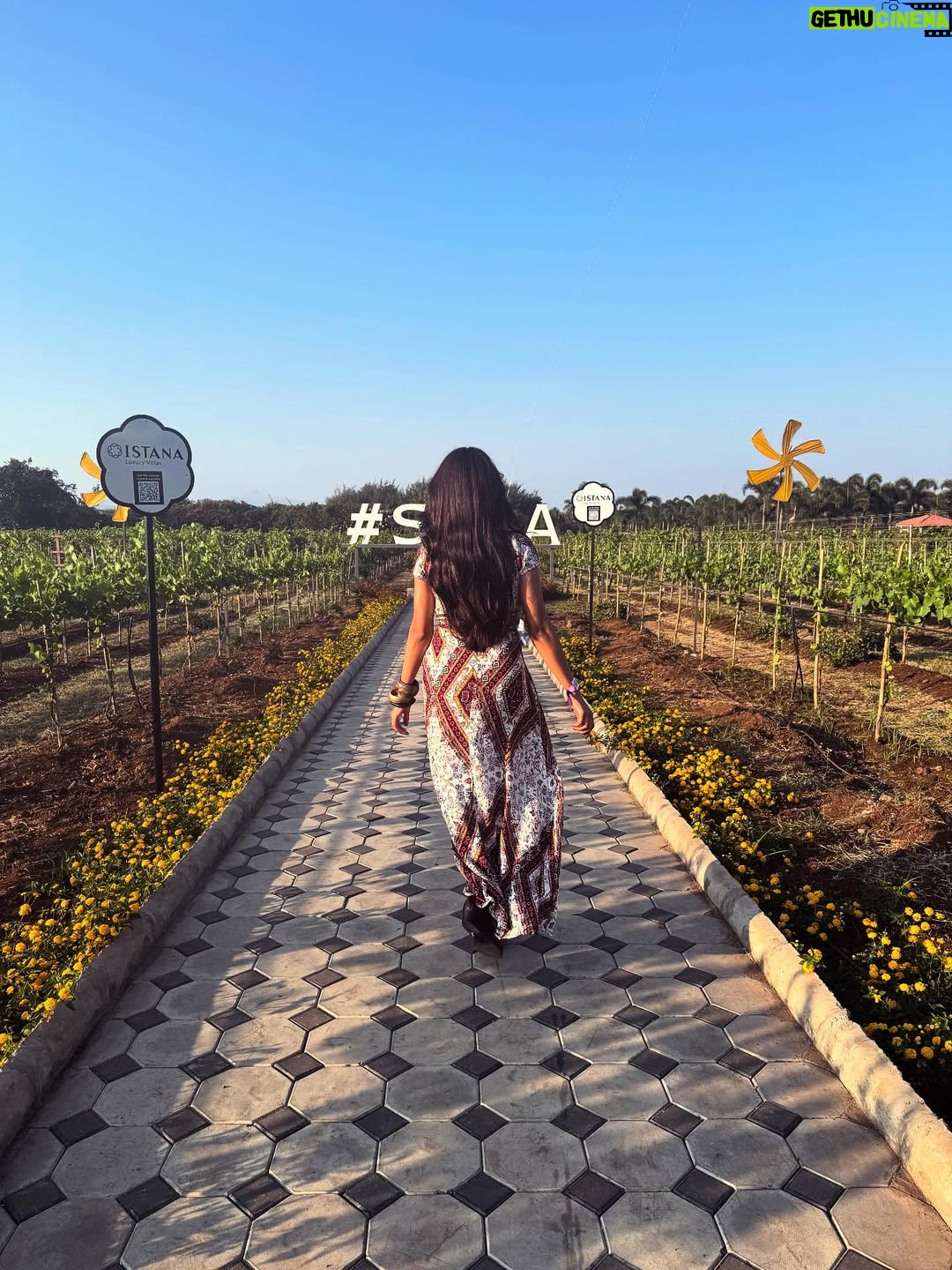 Shailja Mishra - 3 Likes - @sula_vineyards