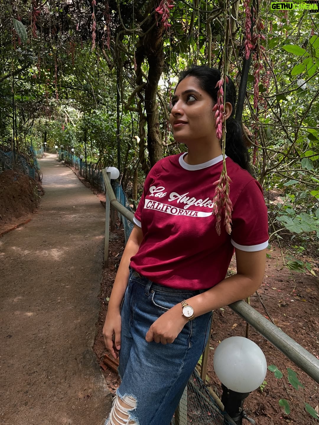 Shambhavy gurumoorthy - 7.3K Likes - ✨Glowing differently because I chose myself ♥️🫶🏻

#samandprasi #trend #instamood #insta #happiness #self #selflove #candid #photoftheday #photo #ootd #fashionista #life #fun