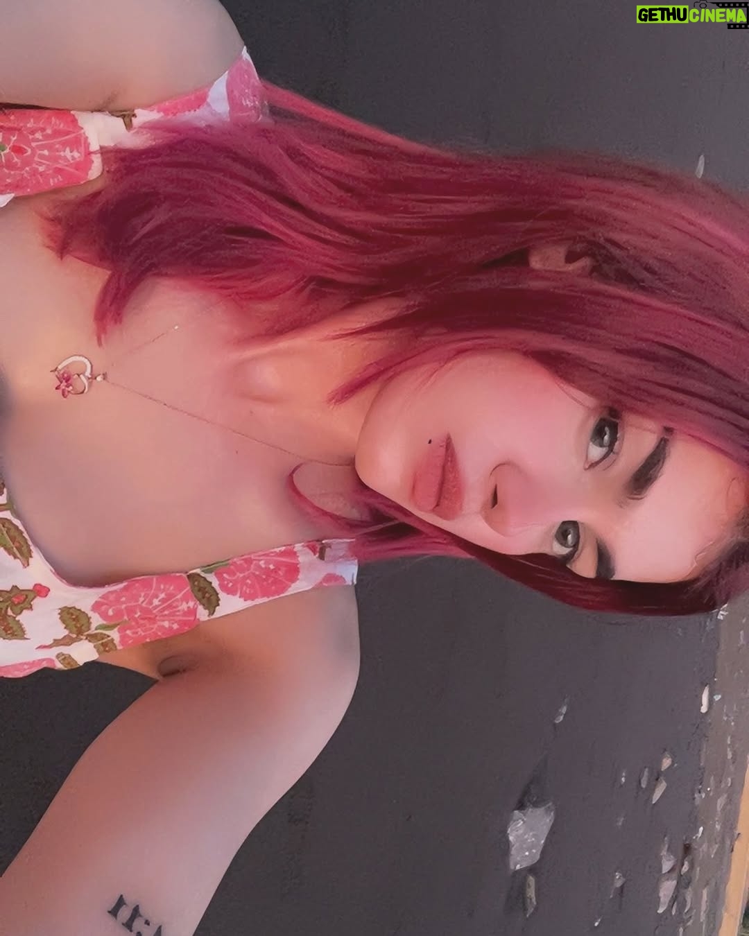 Shefali Bhavsar - 3 Likes - 🌸🐚🫧🥥