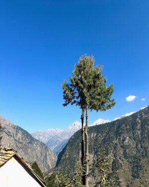 Shelle Sharma Instagram - Where the mountains write their own postcards 🏔️💌
.
.
.
.
.
.
.
.
.
.
.
.
.
.
.
#mountains #trekking #bulesky #nature #myvillage #valley #apple #chitkul #kinnaur #okbye✌