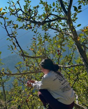 Shelle Sharma Instagram - Where the mountains write their own postcards 🏔️💌
.
.
.
.
.
.
.
.
.
.
.
.
.
.
.
#mountains #trekking #bulesky #nature #myvillage #valley #apple #chitkul #kinnaur #okbye✌