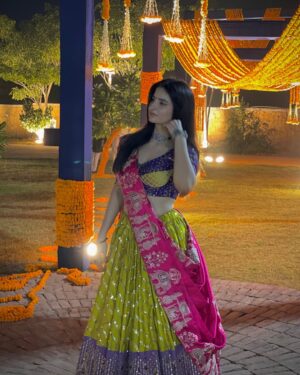 Sheran Ratnani Instagram - Colour blocking for Garba night💜✨💗☘️
🏷️: @heer.boutique
.
.
.
#garbaoutfit #weddingdiaries #gujaratiwedding #chaniyacholi #ethnicwear #indianwear #🧿