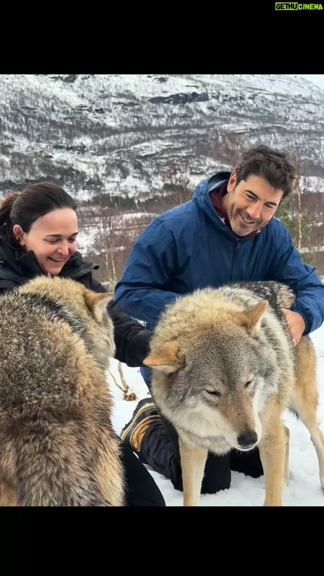 Sheryl Sandberg - 3.4K Likes - Three incredible days with our parents at the Wolf Lodge in Norway. Yes, we actually hung out with wolves and fed arctic foxes. I didn’t even know this could be on my bucket list.