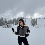 Shifa Solanky