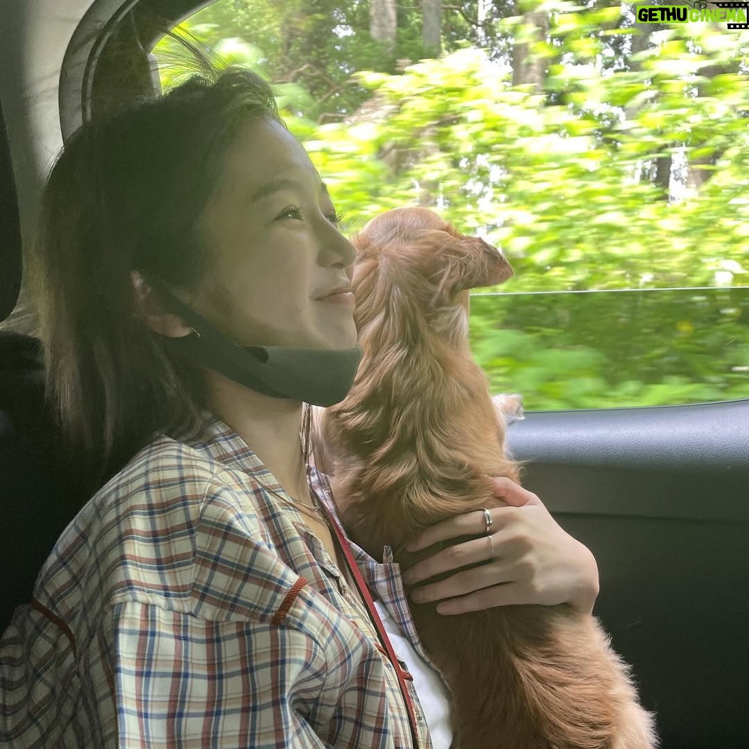 Shiori - 1.4K Likes - 友達のわんことドライブ
#🐶