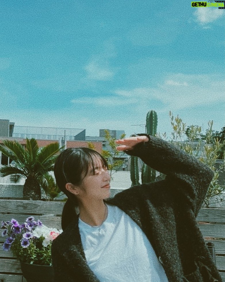 Shiori - 1.6K Likes - 🍂💛