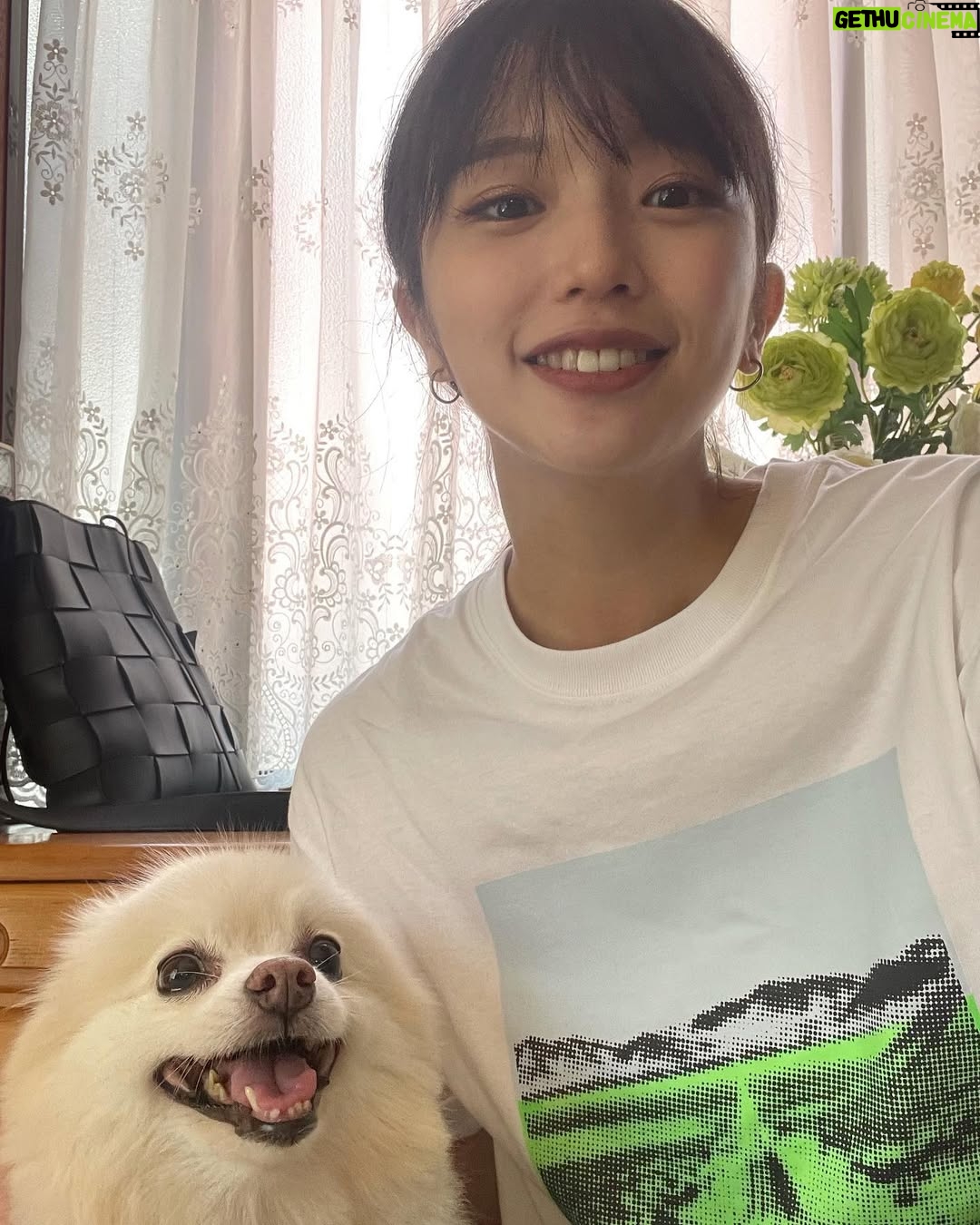 Shiori - 2.9K Likes - 🐶🟩