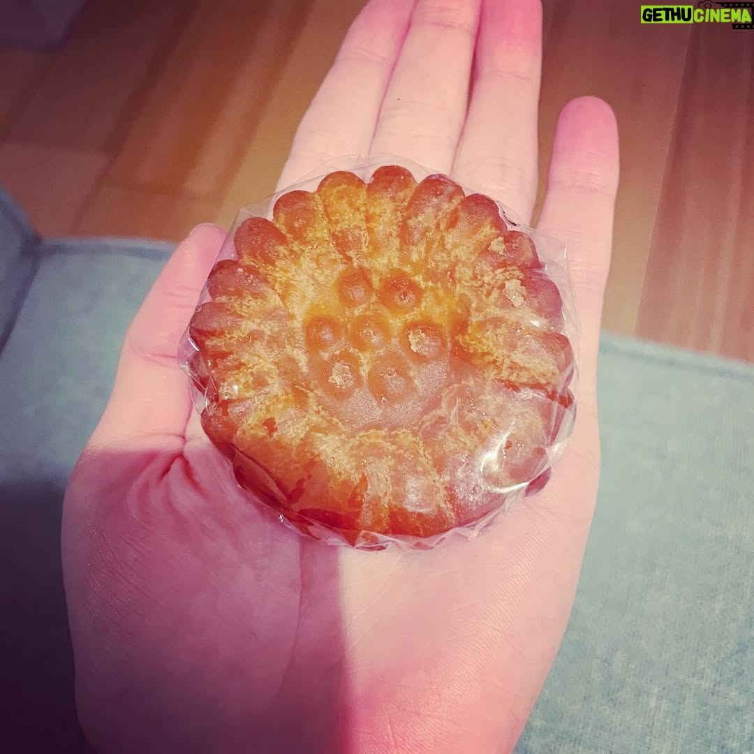 Shiori - 2K Likes - 初めてチーズボール食べた！
美味しい😚

@rikooooo_0302 と買い物してたら、韓国人のおばちゃんが唐突にお菓子くれて、初めて食べるお菓子だったんだけど、美味しすぎたので同じものを探し回って買って帰りました！
韓国のお菓子で、薬菓って言うらしい。
みんな知ってる？

#新大久保