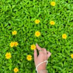 Shivani Divkar