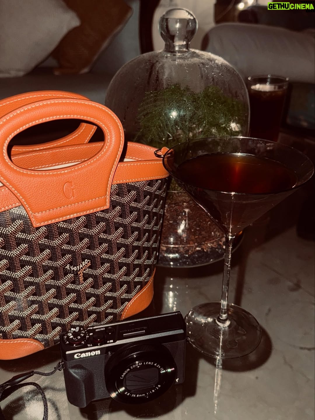 Shivani Pancholi - 3 Likes - Classics never go out of style🤎