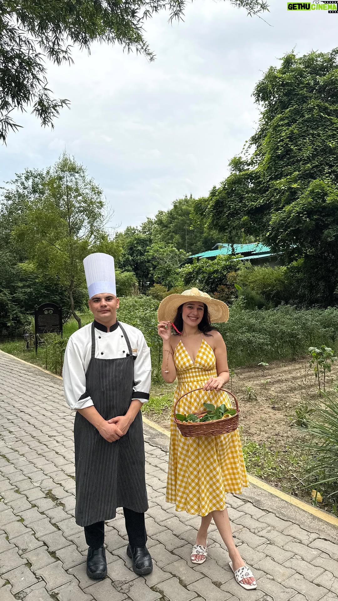 Shivani Pancholi - 3.6K Likes - A peaceful family getaway in the heart of nature 🌿✨
From slow mornings and scenic views to soulful food and warm hospitality @aahanaresort gave us memories we’ll always hold close.
#FamilyEscape #AahanaResort #natureandluxury #aahanaresort