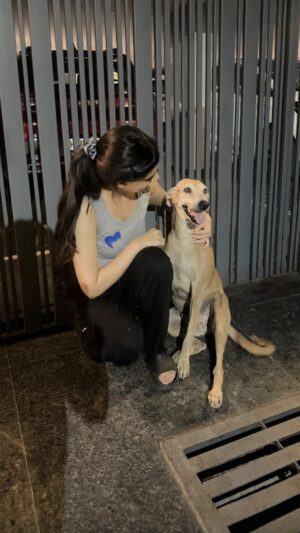 Shreya Thukral Instagram - or at least not harm them? 

#dogs #dogsofinstagram #straydogsofinstagram #strays #indie #love #paws #dogsofindia #bekind #indielove #handoffourstreetdogs #justiceforstreetdogs #justiceforstraydogs #rightoffreedom #savedelhidogs #voiceforthevoiceless #westandforstrays #CJIindia #animalwelfare #protectstreetdogs #supremecourt #animalrights #fyp 

[ Supreme Court orders, animal welfare, dogs, rules, CJI India, Delhi strays ]