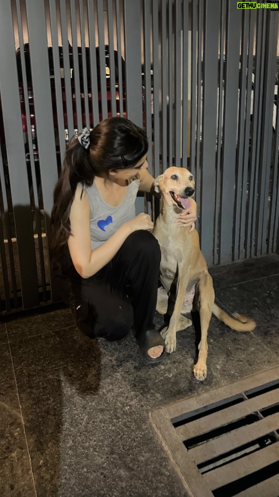 Shreya Thukral - 7.2K Likes - or at least not harm them? 

#dogs #dogsofinstagram #straydogsofinstagram #strays #indie #love #paws #dogsofindia #bekind #indielove #handoffourstreetdogs #justiceforstreetdogs #justiceforstraydogs #rightoffreedom #savedelhidogs #voiceforthevoiceless #westandforstrays #CJIindia #animalwelfare #protectstreetdogs #supremecourt #animalrights #fyp 

[ Supreme Court orders, animal welfare, dogs, rules, CJI India, Delhi strays ]