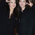 Shu Qi