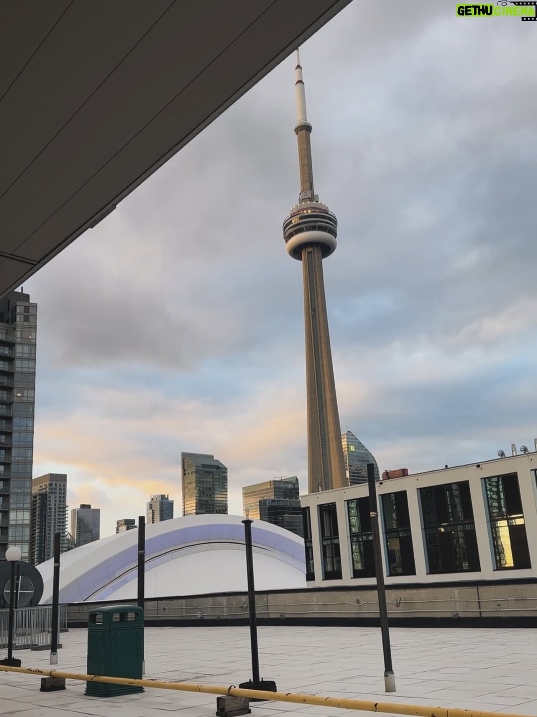 Shubhi Singh - 2.7K Likes - Phone khaali karne wala dump. :) 
.
.
.
#lifelately