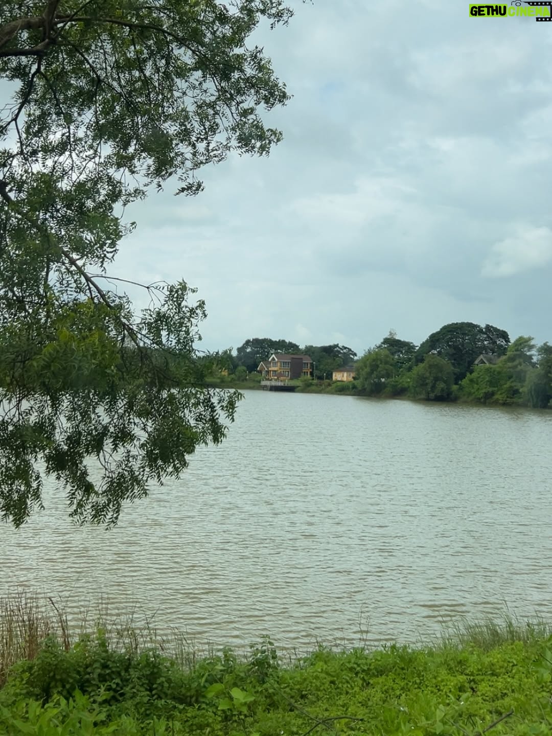 Siddhi Doshi - 489 Likes - It’s amazing how just a few minutes in nature can completely shift your mood.🌴🌸🌻🌿🧿🏞️