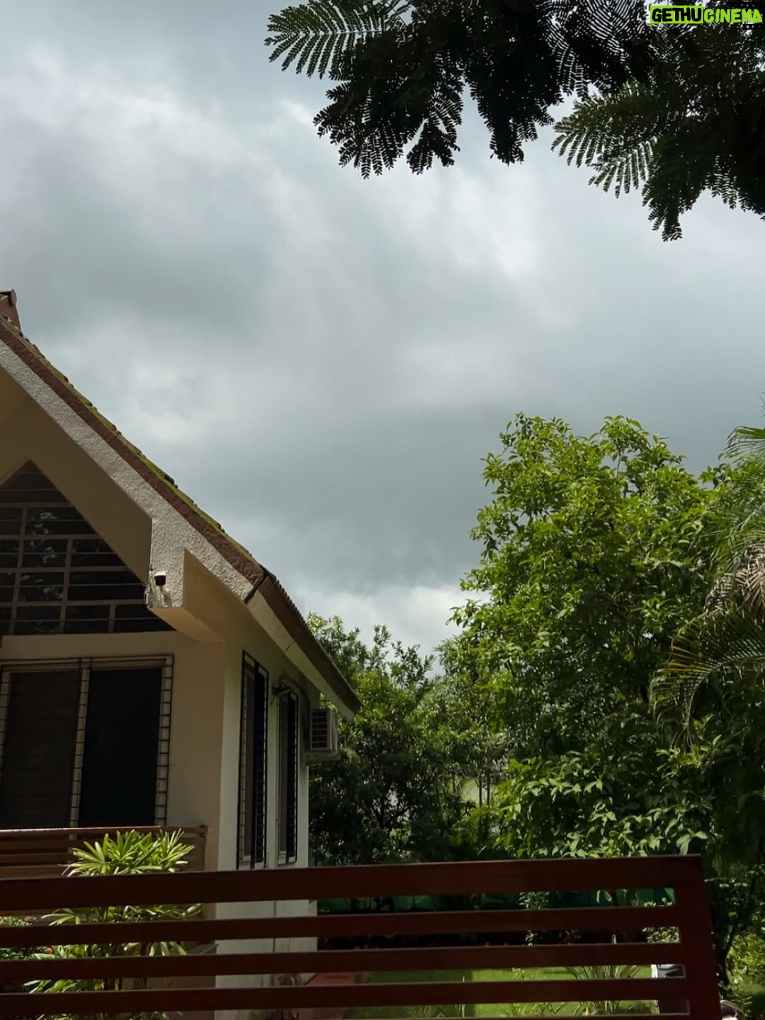 Siddhi Doshi - 489 Likes - It’s amazing how just a few minutes in nature can completely shift your mood.🌴🌸🌻🌿🧿🏞️