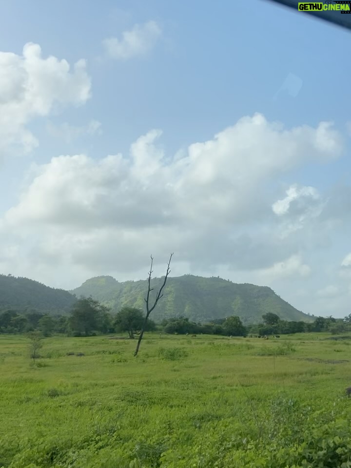 Siddhi Doshi - 489 Likes - It’s amazing how just a few minutes in nature can completely shift your mood.🌴🌸🌻🌿🧿🏞️