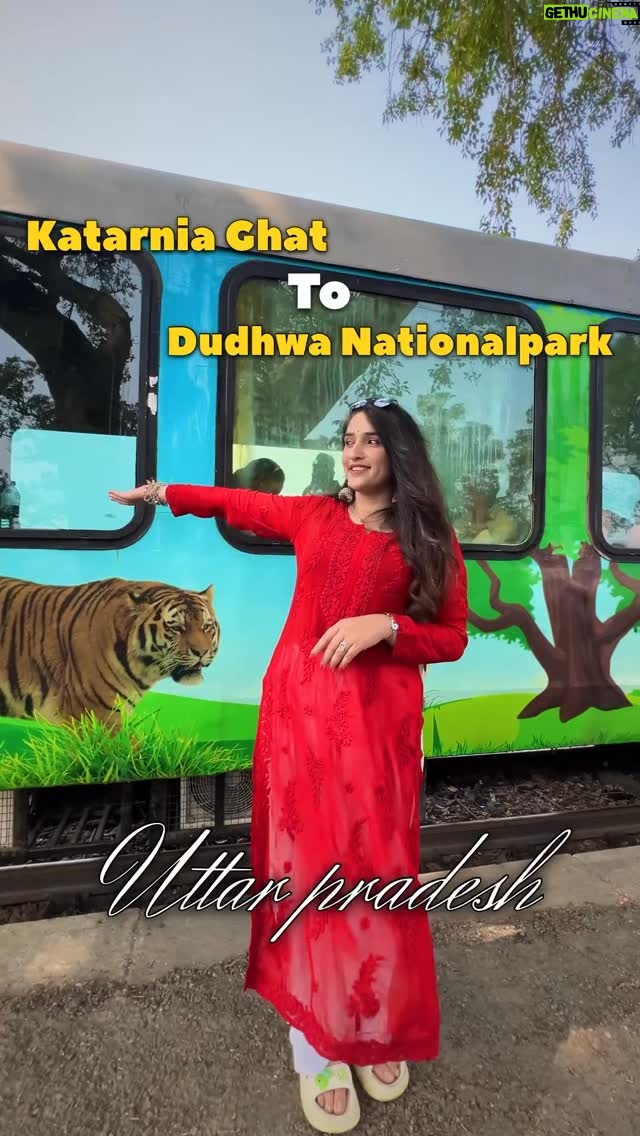 Simar Rajput - 47.2K Likes - From the quiet tracks of Katarniaghat to the wild heart of Dudhwa 🌿🚂 A journey where the whistle of the train fades into the calls of the jungle. Spotted deer, barasingha, and maybe even the elusive tiger — nature unfolds its magic with every mile. 
.
.
.
.
.
.
.
.
.
#UPTourism #IncredibleUttarPradesh #ExploreUP #UttarPradeshDiaries #TravelUP #WanderInUP #UttarPradeshTravel #HeritageOfUP #travelling #ColorsOfUP #VaranasiVibes #travel #AyodhyaDiaries #PrayagrajPilgrimage #LucknowDiaries #KashiChronicles #UPKeSafar