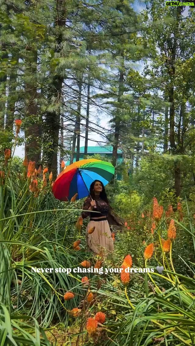 Simar Rajput - 1.6K Likes - I’m planning my next trip, and you are too. 

#reels #reelsinstagram #simarrajput