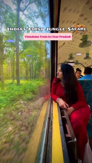 Simar Rajput Instagram - Have you ever experienced a magical Train ride like this?😍

UP में train से Jungle सफ़ारी 🚂
Explore the wild beauty of Dudhwa National Park from a VistaDome coach
Train Details:
• Train Name: Jungle Safari Special
• Train No.: 52260
Route: Mailani Station to Bichia Station
Coach Type: VistaDome (glass roof   wide windows)
• Runs On: Saturday & Sunday
• Ticket Price: 265
• Booking: Available on IRCTC website
.
.
.

#UPTourism #IncredibleUttarPradesh #ExploreUP #UttarPradeshDiaries #TravelUP #WanderInUP
#UttarPradeshTravel #HeritageOfUP #travelling #ColorsOUP #VaranasiVibes #travel #AyodhyaDiaries
#PrayagrajPilgrimage #LucknowDiaries #KashiChronicles #UPKeSafar
