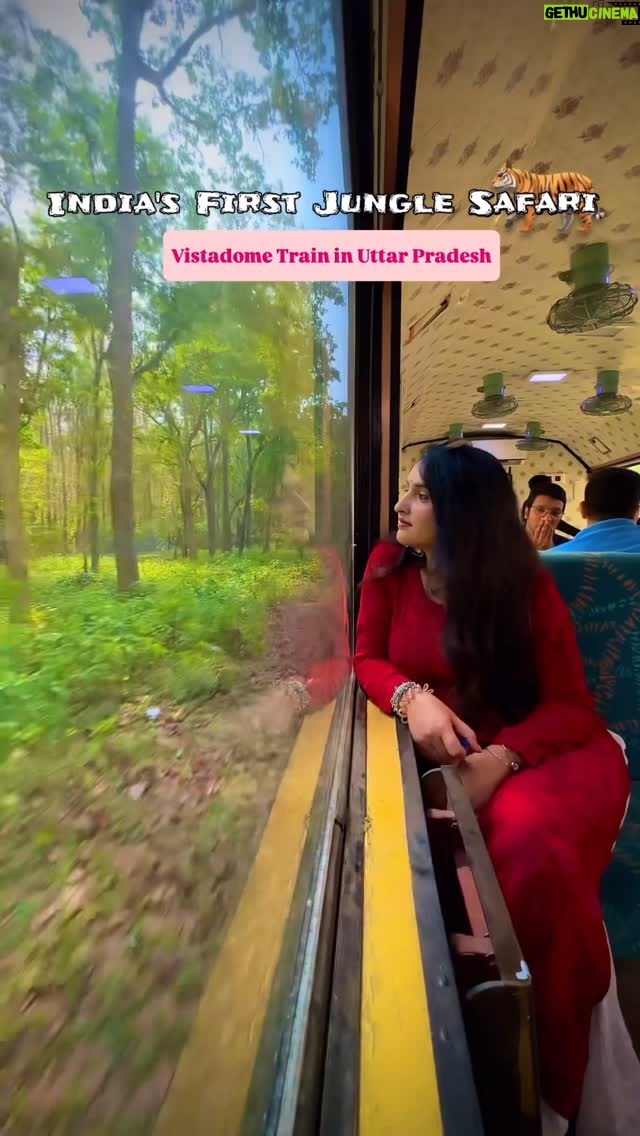 Simar Rajput - 16K Likes - Have you ever experienced a magical Train ride like this?😍

UP में train से Jungle सफ़ारी 🚂
Explore the wild beauty of Dudhwa National Park from a VistaDome coach
Train Details:
• Train Name: Jungle Safari Special
• Train No.: 52260
Route: Mailani Station to Bichia Station
Coach Type: VistaDome (glass roof   wide windows)
• Runs On: Saturday & Sunday
• Ticket Price: 265
• Booking: Available on IRCTC website
.
.
.

#UPTourism #IncredibleUttarPradesh #ExploreUP #UttarPradeshDiaries #TravelUP #WanderInUP
#UttarPradeshTravel #HeritageOfUP #travelling #ColorsOUP #VaranasiVibes #travel #AyodhyaDiaries
#PrayagrajPilgrimage #LucknowDiaries #KashiChronicles #UPKeSafar