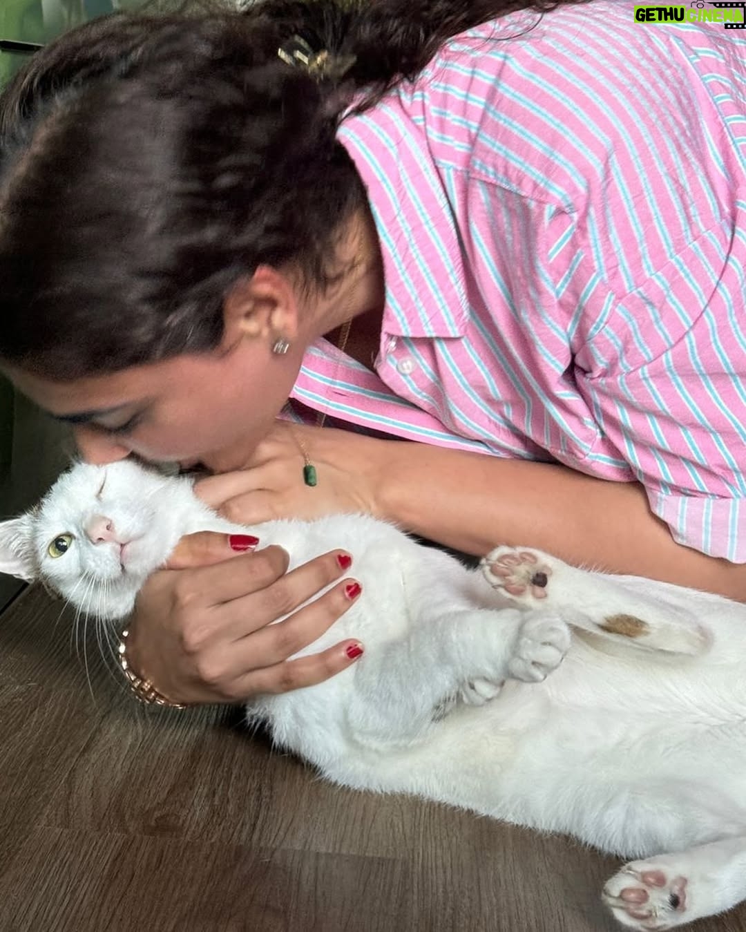 Simmy Goraya - 8.4K Likes - Yea I kissed him without his consent 🥺✨