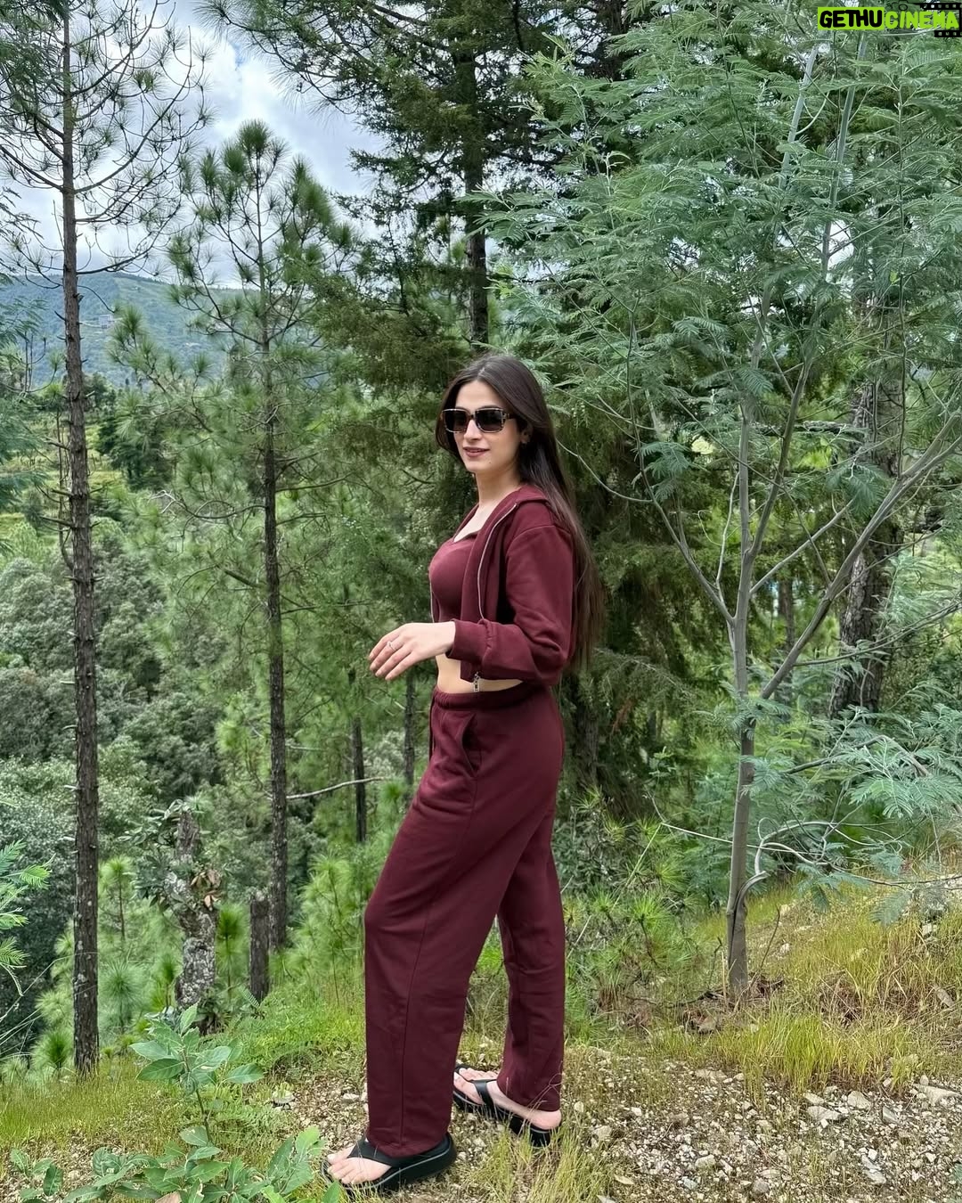 Simran Bawa - 4.6K Likes - All kinds of happy 🤍🏔️☀️🌲🦋🌙