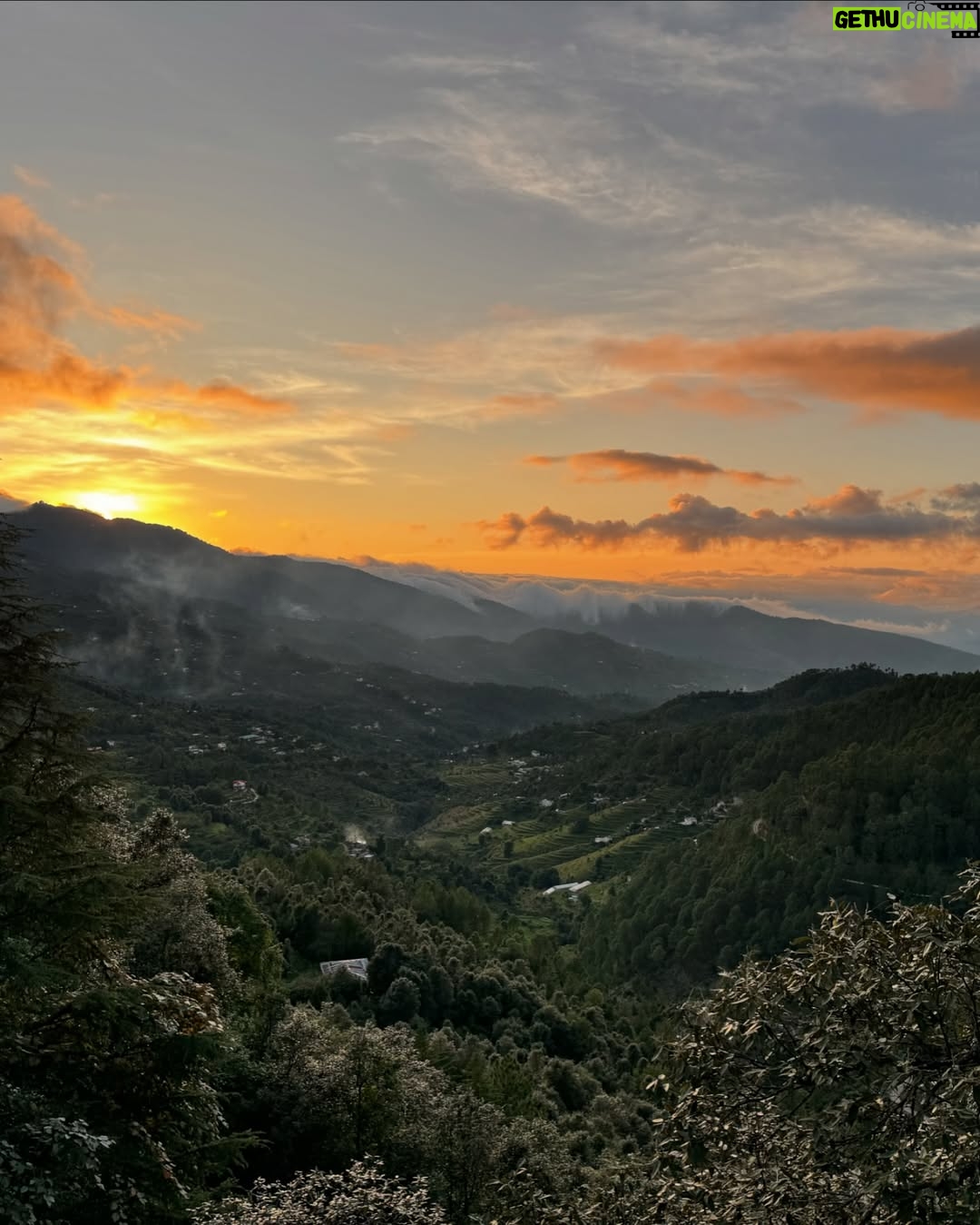 Simran Bawa - 4.6K Likes - All kinds of happy 🤍🏔️☀️🌲🦋🌙