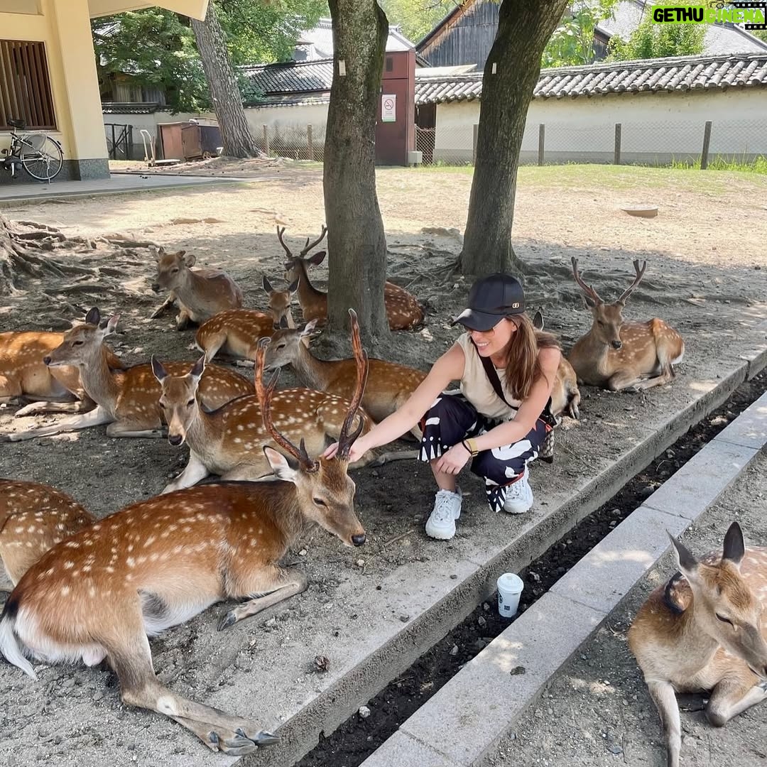 Sofía Lama - 1.4K Likes - Japón… la búsqueda constante de la sofisticación a través de la simpleza. Una sociedad que se basa en el respeto pensando siempre en bienestar del prójimo, una país tan seguro que los niños toman solos el metro para ir a la escuela, todo eso y más, eso es Japón ❤️
