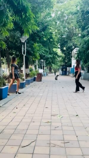 Soma Singha Instagram - đź‘👯‍♀️
#viral #viralvideos #viralvideo #virałpost #viralreels #viralreelsfacebook #viralvideochallenge #viralcontent #virals #viralsong #trendingnow #trending #trendingsongs #trendingreels #explore #explorepage #exploremore #reels #reelindia #reelsvideo #reelsviral #instagood #instafashion #instadaily #instalike #instalove #followme #followforfollowback #follow4follow #followforfollow