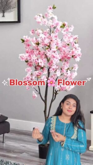 Sonali Singh Instagram - Let’s Create This DIY Blossom 🌸 Flower 🌷
.
.
.
.
.
.
#homedecor #homedecorideas #homedecorating #whatiorderedvswhatigot #meeshofinds #meeshoshopping #meeshoshopping #meesho ##diycraft #trendingreel #trending #meeshotrendz #explorepage✨ #toptrending