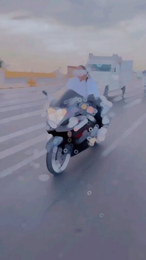 Sonam Kethwas Instagram - Hayabusa 👧🖤 

#reelsinstagram #hayabusa #hayabusa2 #hayabusa_lover #hayabusa1300 #hayabusa2021 #bikeride #hayabusagirl #reels