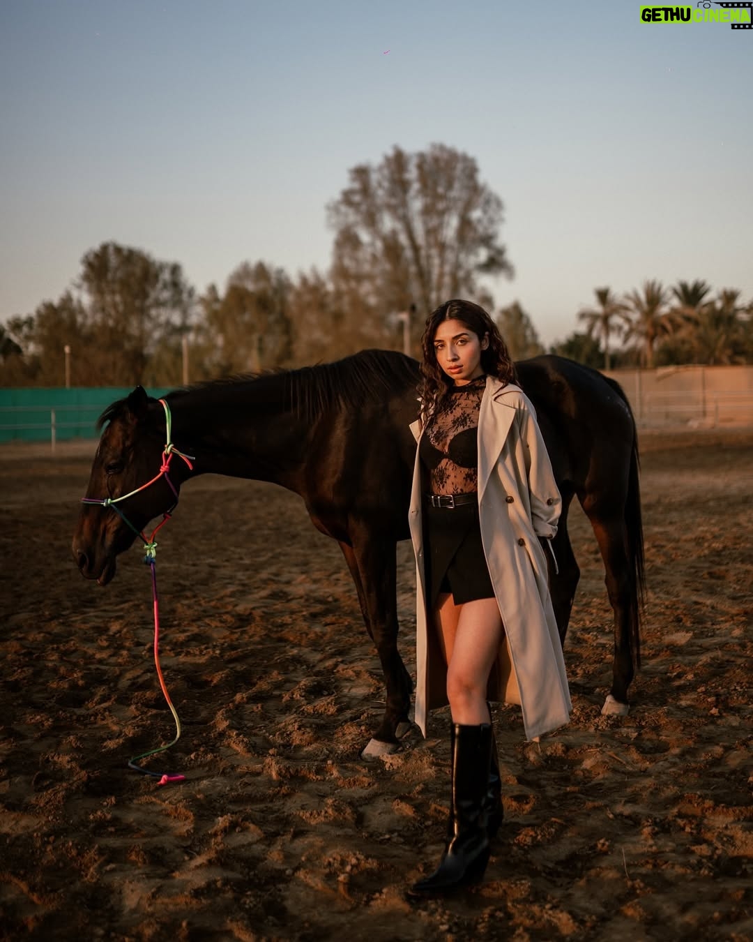 Sonam Pirani - 1K Likes - Who’s the best poser ? 

PS- the first one deserves a magazine cover 

Shot by- @qamarrazafilms 
Location & Horse courtesy - @amsprivatefarm 
#horse #horselove #horses #horseriding #cover #dubai #horsesofinstagram