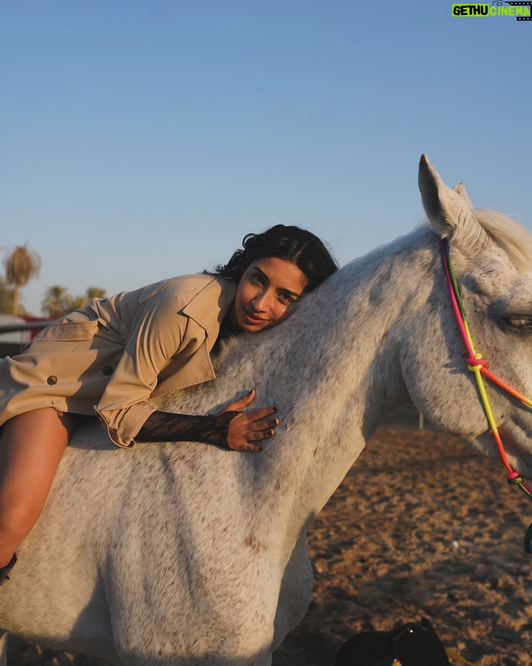 Sonam Pirani - 1K Likes - Who’s the best poser ? 

PS- the first one deserves a magazine cover 

Shot by- @qamarrazafilms 
Location & Horse courtesy - @amsprivatefarm 
#horse #horselove #horses #horseriding #cover #dubai #horsesofinstagram