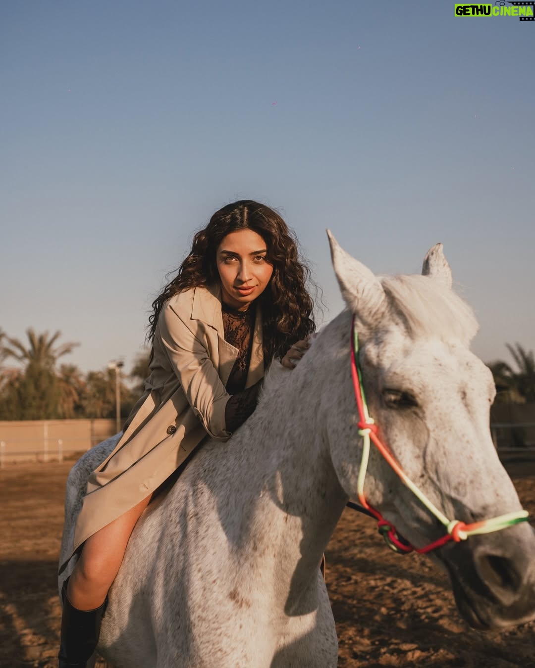 Sonam Pirani - 1K Likes - Who’s the best poser ? 

PS- the first one deserves a magazine cover 

Shot by- @qamarrazafilms 
Location & Horse courtesy - @amsprivatefarm 
#horse #horselove #horses #horseriding #cover #dubai #horsesofinstagram